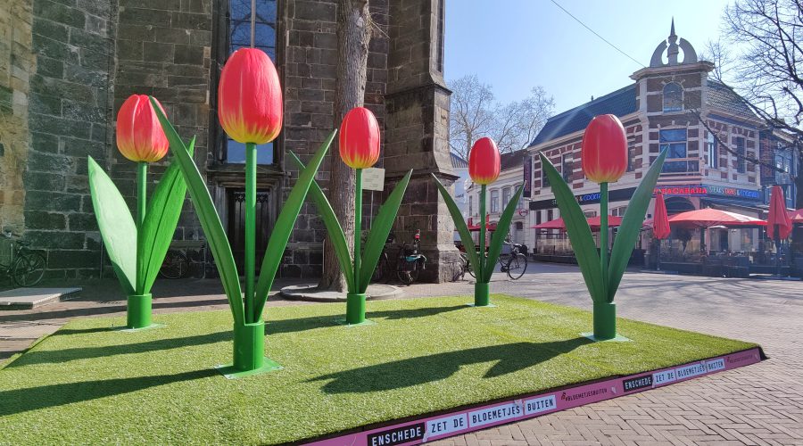 Tulpen op de Oude Markt Enschede - Bloemetjes Buiten